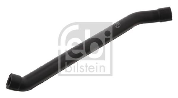 Hose, crankcase ventilation
